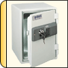 Master Sales: Selling brands such as Brinks, Cam Spray, EmerGen, Empire, Pro/Tran, Taylor, Voltmaster, & Weber. For safes, shredders, pressure washers, trash pumps, generators, space heaters, infrared plaque heaters, gas fireplaces, wood burning fireplaces, furnaces, transfer switches, pneumatic air tools, welders, construction equipment, rammers, rollers, compactors, and pavement saws.